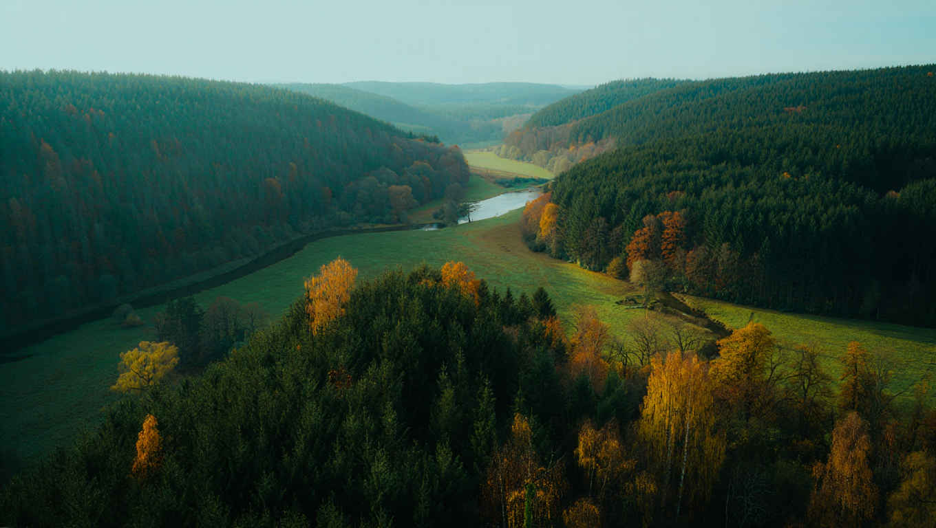 Weites deutsches Waldpanorama im goldenen Herbstlicht