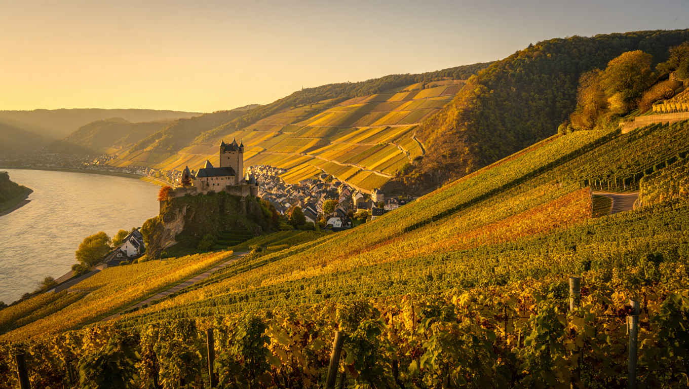 Das romantische Rheintal mit Burgen und Weinbergen